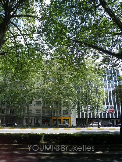 213 (1)
