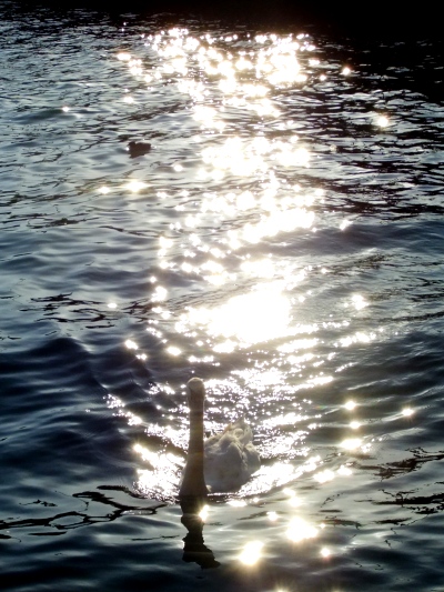 DSCF6721 DSCF6721