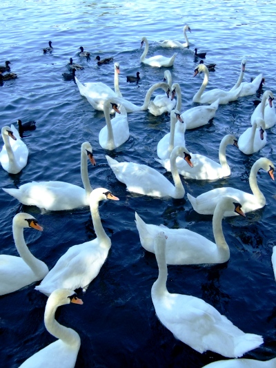DSCF6764 DSCF6764