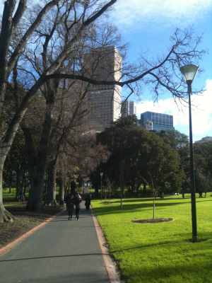 IMG_0593 IMG_0593