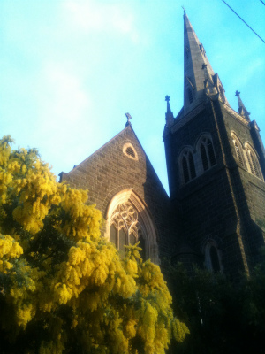 IMG_0599 IMG_0599