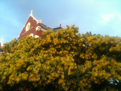 IMG_0603 IMG_0603