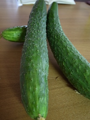 R0017065