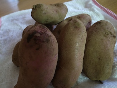 R0017074