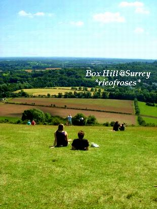 box hill 2[1]