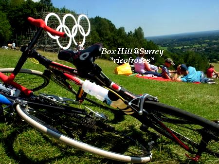 box hill bice2[1]