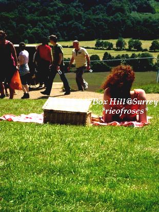 box hill[1]