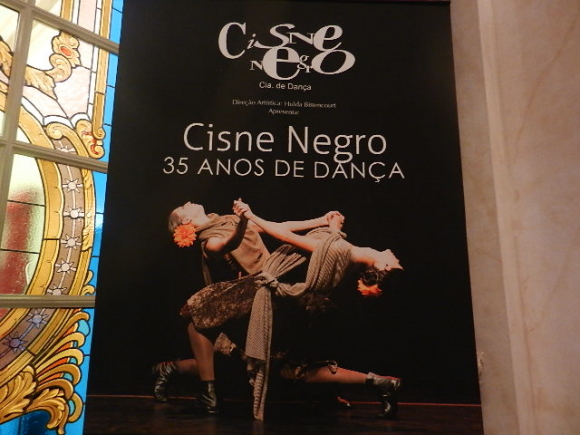 cisne negro cisne negro
