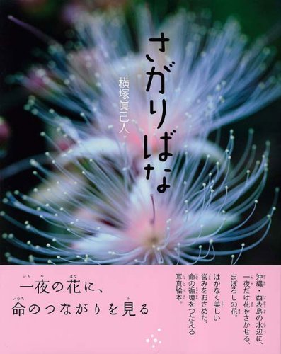 20120712