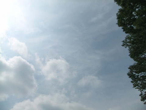 monfyu2 雲がどんどん流れていく夏の朝