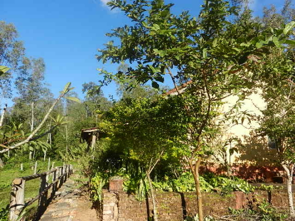 ouro fino 2 ouro fino 2
