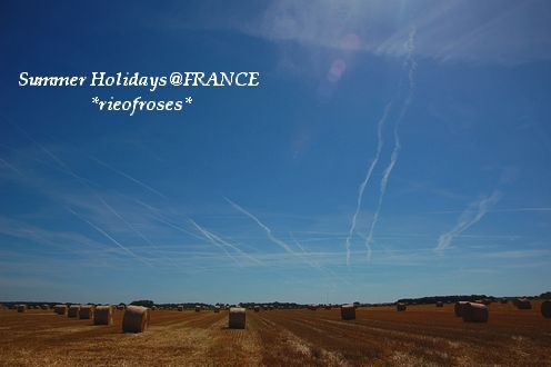 DSC_0191 DSC_0191