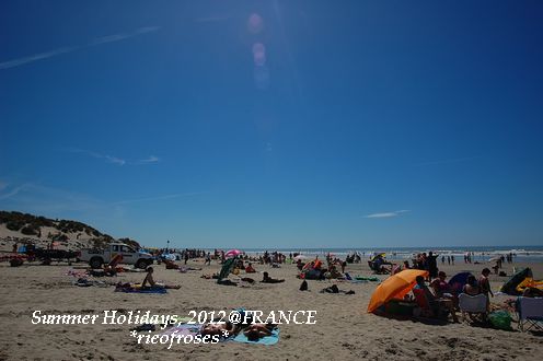 DSC_0195 DSC_0195