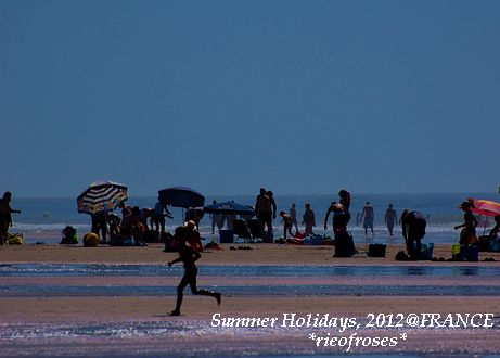 DSC_0217 DSC_0217