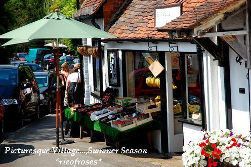 DSC_9867[1]