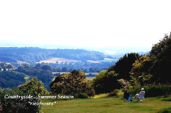 DSC_9903[1]