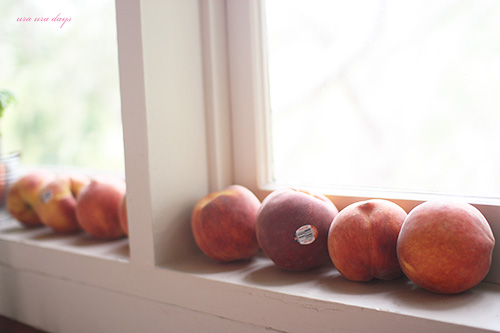 IMG_0038 IMG_0038