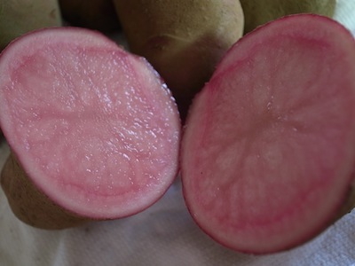 R0017087