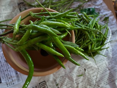 R0017208