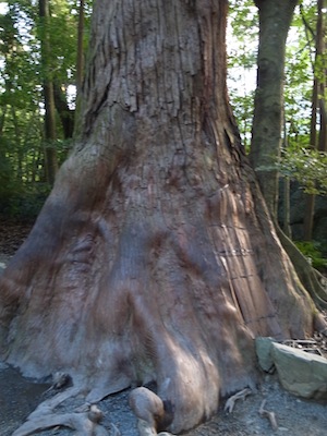 R0017706