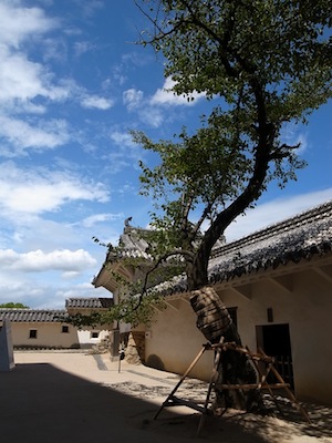 R0017889