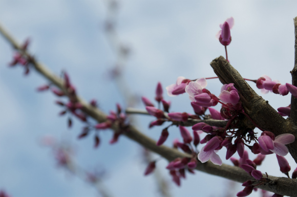 DSC_0363 DSC_0363