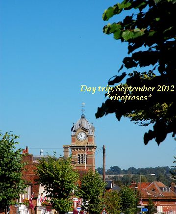 DSC_0496 DSC_0496
