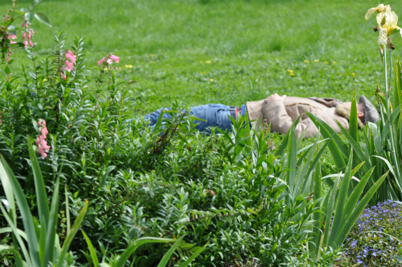 DSC_0506 DSC_0506