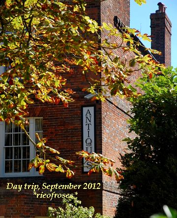 DSC_0509 DSC_0509