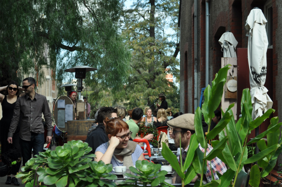 DSC_0510 DSC_0510