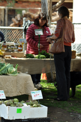 DSC_0516 DSC_0516