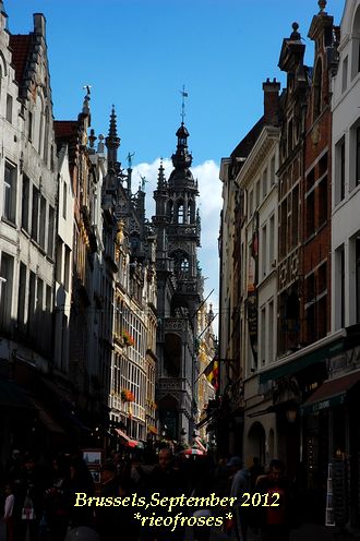 DSC_0649 DSC_0649