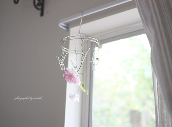 IMG_0461 IMG_0461