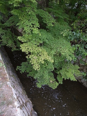 R0018029
