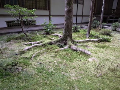 R0018052