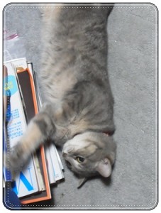 猫パーンチ！　皆様、良い週末を・・・♪