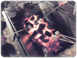 RIMG0937 何かわかる!? マシュマロ焼いたの!!すごい美味しくてびっくり。みなさん、バーべキュウの時に、ぜひ試してください!