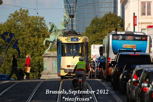 DSC_0718 DSC_0718