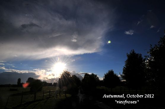 DSC_2621 DSC_2621