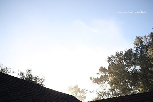IMG_0519 IMG_0519