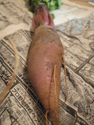 R0018677