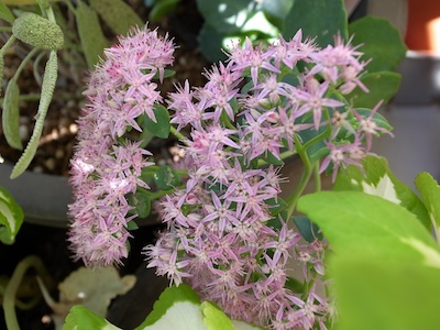 R0018905