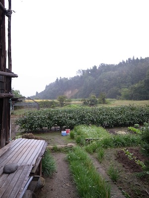 R0018933 R0018933
