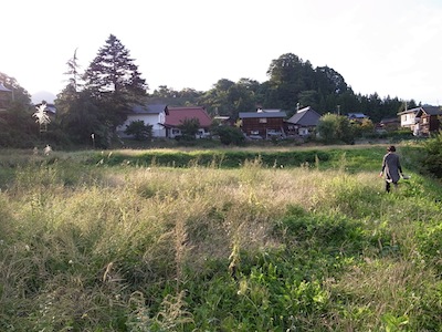 R0019006
