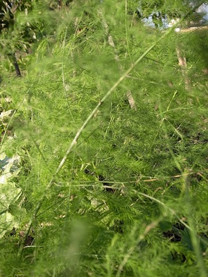 R0019024
