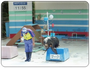RIMG0121 ゆるーい空気のショーを見て・・・