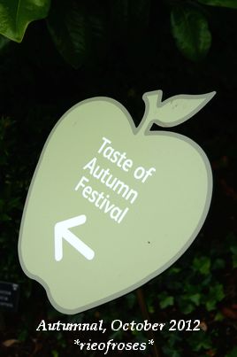 apple apple