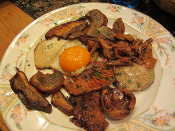 tapas 1 tapas 1