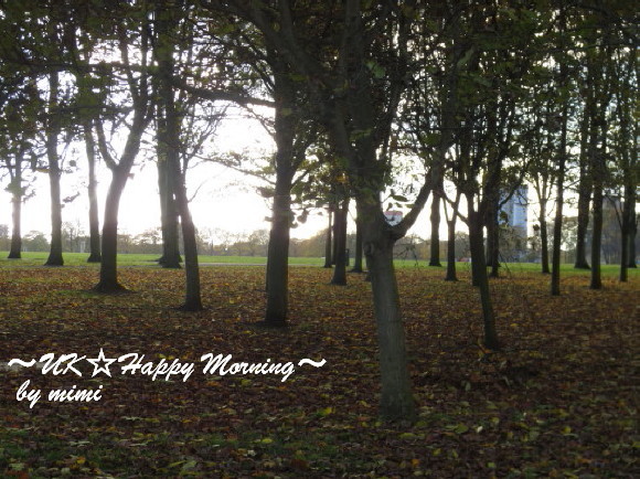 2012-11-23-1 2012-11-23-1
