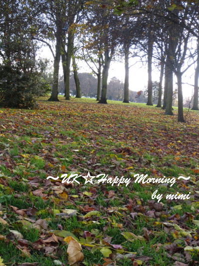 2012-11-23-2 2012-11-23-2